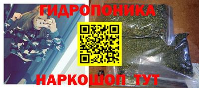 шишки Кандалакша