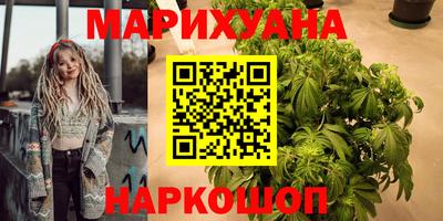 шишки Кандалакша