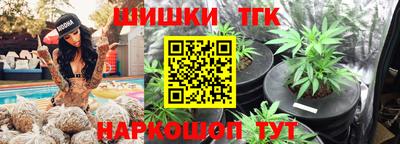 шишки Кандалакша