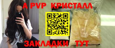 шишки Кандалакша